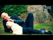 Preview image for the video "Was soll ich ganz allein mit unserm Stern_TOI-RECORDS_Offcial".