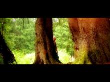 Preview image for the video "Peter Sebastian - Gibt es mit dir einen Morgen?".